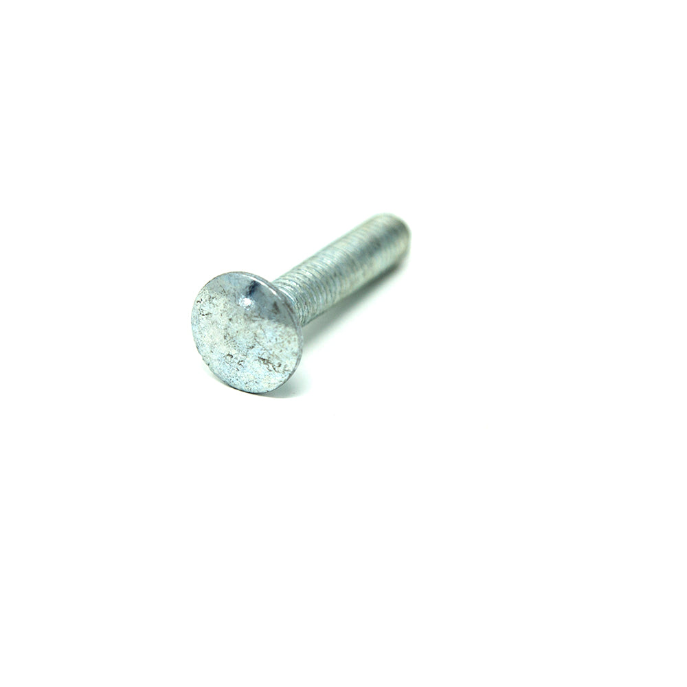 M6x31mm sized carriage bolt seen from the front.
