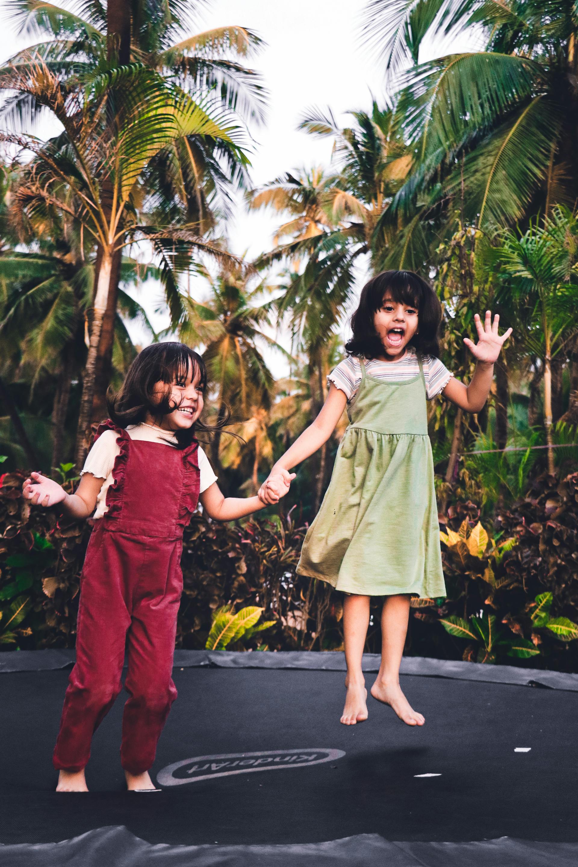Skywalker Trampolines: Elevate Your Backyard Fun