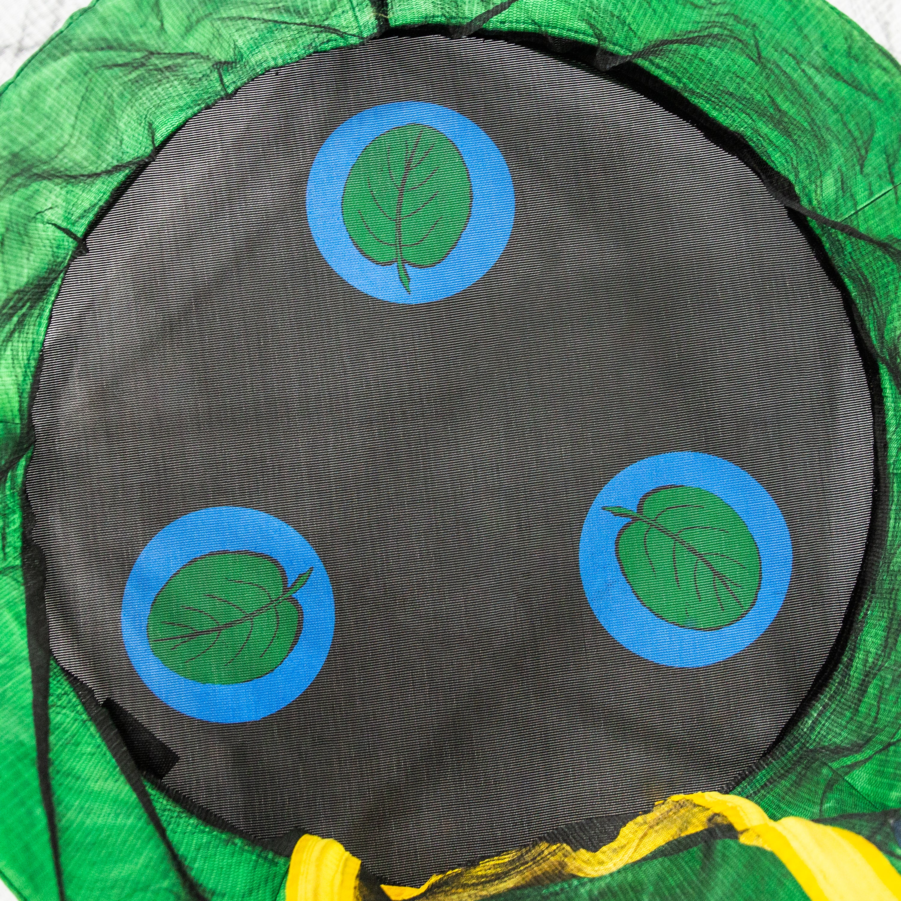 Overhead view of lily-pad design on jump mat. Green lily-pads are surrounded by blue circles. 